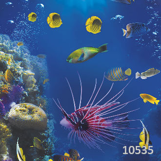 Подводный мир