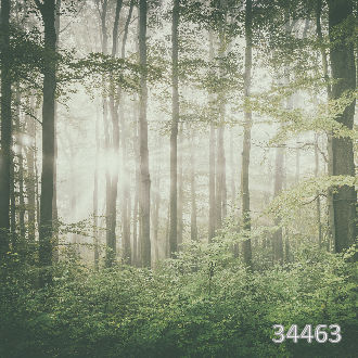 Первые лучи солнца