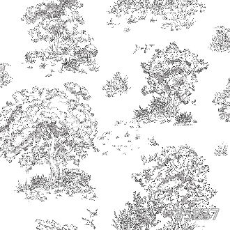 Вековые рощи