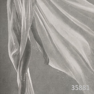 Зачарованная вуалью