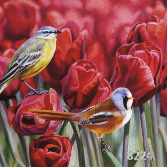 Тюльпановый дуэт